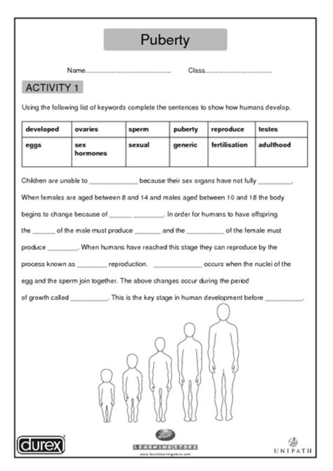 👍 Human Development Worksheet Human Development Worksheets 2019 02 06