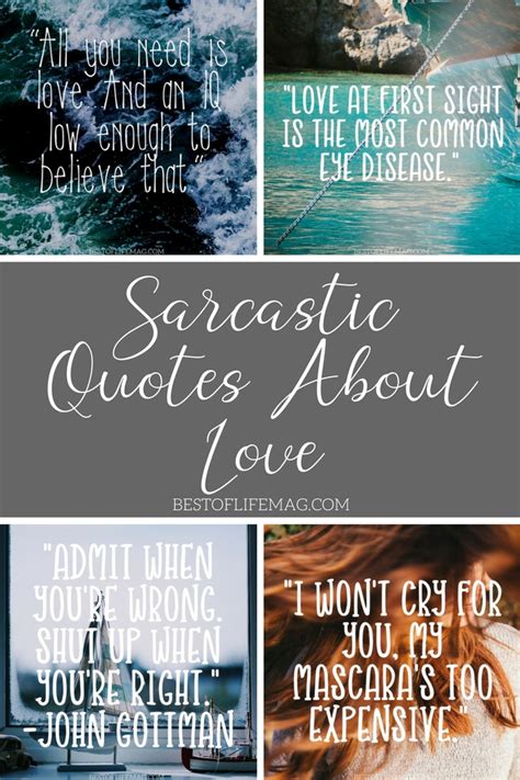 sarcastic quotes about love how can you not laugh the