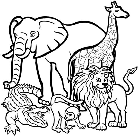 desenhos de animais  colorir dicas praticas