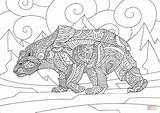 Coloring Bear Polar Pages Zentangle Printable sketch template