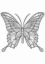 Schmetterling Papillon Colorare Schmetterlinge Erwachsene Insetti Insectos Tiere Printable Adulti Ausmalbilder Mariposas Papillons Malvorlagen Motifs Insekten Waldtiere Insectes Colorier Animals sketch template