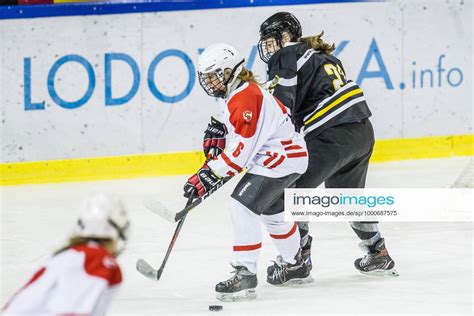 katowice 07 02 2021 hokej na lodzie kobiet ewhl european hockey women