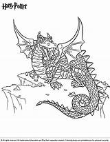 Potter Harry Coloring Pages Colouring Adults Hard Difficult Dragons Dragon Color Printable Adult Sheets Print Colors Kids Para Books Printables sketch template