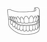 Teeth Coloring Pages Tooth Printable Drawing Mouth Vampire Denture Dental Smile Colouring Fangs Getdrawings Shark Realistic Getcolorings Dentist Print Sheets sketch template