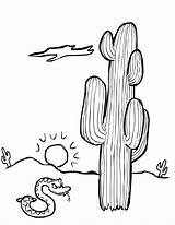 Desert Coloring Pages Cactus Kids sketch template