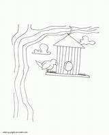 Coloring Pages Box Nesting Seasons Spring Printable sketch template