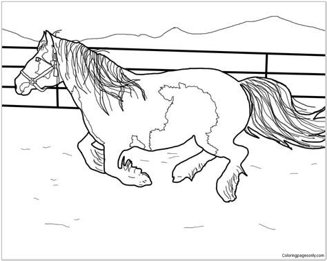 stallion horse coloring page  printable coloring pages
