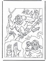 Kleurplaat Apen Oetan Kleurplaten Affen Utan Outan Orangutan Monkeys Malvorlage Coloring Ausmalbild Colorare Stap Dierentuin Oerang Jetztmalen Kleurplaatjes Dieren Stimmen sketch template