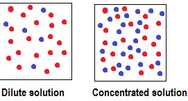 concentration  solutions definition levels studycom