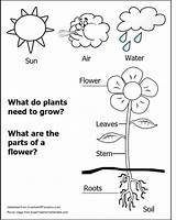 Worksheet Toddlers Ingles Planting sketch template