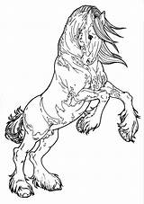 Coloring Pages Horse Clydesdale Deviantart Patterned Rearing Horses sketch template