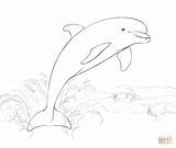 Drawing Dolphin Coloring Jumping Water Pages Easy Step Printable sketch template