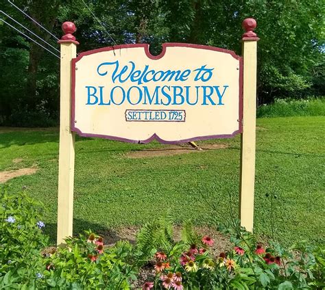 bloomsbury bloomsbury  jersey