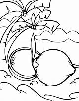 Coconut Coloring Pages Activity Getcolorings Pack Great Getdrawings Printable Pag sketch template