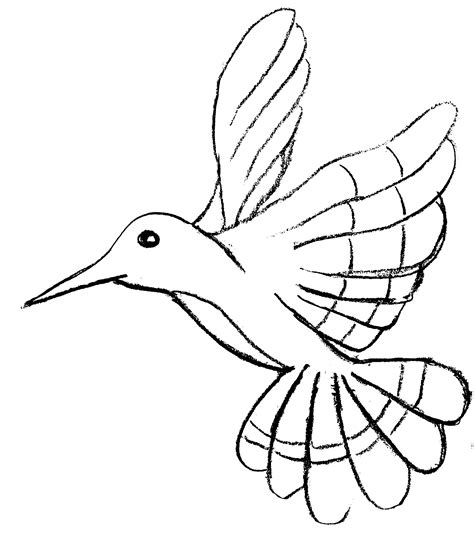 birds   birds kids coloring pages
