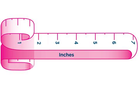 Average Male Length And Girth