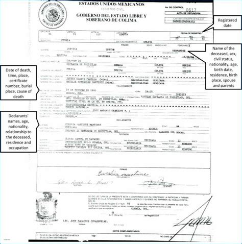 translation  birth certificate template verypageco