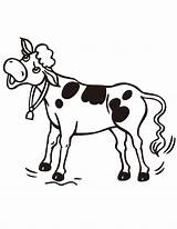 Cow Cartoon Clipart Coloring Baby Clip Printable Pages Cliparts Cattle Cows Line Cute Drawings Pic Library Colouring Colour Clipartbest 2021 sketch template