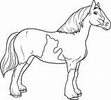 Colorear Caballo Cavalos Dibujos Gratuitamente Caballos Horses sketch template