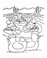 Farm Coloring Kids Color Pages Print Printable sketch template