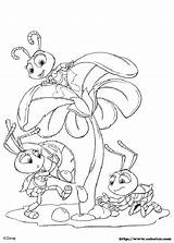 Colorat Furnici Imagini Planse Desene Ants sketch template