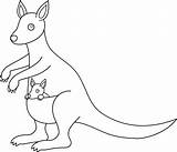 Kangaroo Kangourou Colorable Clipartix Sacrosegtam Webstockreview sketch template