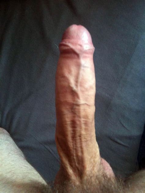 real amateur showing his large white penis pichunter