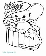 Coloring Cat Pages Cute Kitty Hat Cats Persian Drawing Minecraft Fancy Print Printable Colouring Pig Kitten Color Nyan Getcolorings Getdrawings sketch template