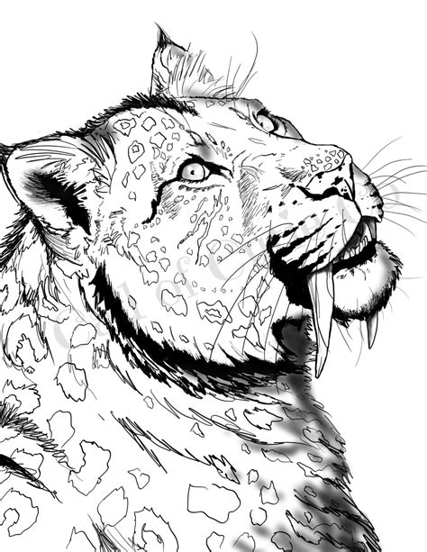 saber tooth tiger coloring page animal color pages etsy