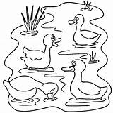 Pond Estanque Ducks Coloriage Canard Lac Petit Vilain Dessin Ausmalbilder Colorier Patos Lago Estanques Imprimir Ausmalbild Olorear sketch template