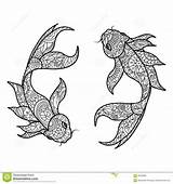 Coloring Pisces Fishing Fish Koi Searching Vectors Search sketch template