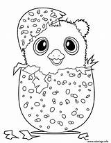 Hatchimals Hatchimal Owlicorn Colorier Gratuit Coloriages sketch template