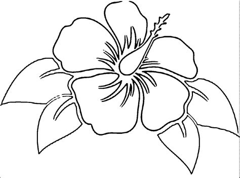 hibiscus flower coloring page coloring home