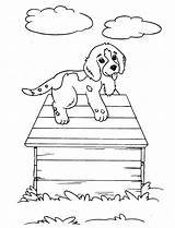 Cuccia Rappresentano Cani Pagine sketch template