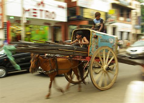 donkey cart pentax user photo gallery