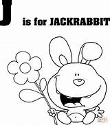 Coloring Letter Pages Printable Jackrabbit Jack Rabbit Color Sheet Jaguar Letters 71kb 1029 Kids sketch template