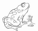 Frog Coloring Pages Tree Red Pond Cute Prince Bullfrog Colouring Eye Eyed Color Comments Flower Coloringhome Getdrawings Leave Flowers Getcolorings sketch template