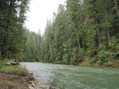 la wis wis campground cowlitz river gifford pinchot national forest