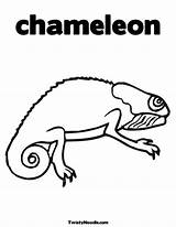 Coloring Pages Leo Lionni Chameleon Popular Animal sketch template