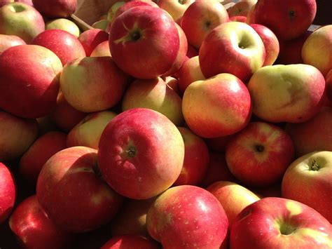 Apples Real Food Encyclopedia Foodprint