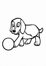 Coloring Pages Dog Beagles Printable Colouring Beagle Playing Worksheets Kids Ball sketch template