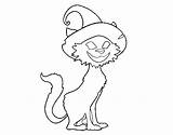 Cat Bewitched Coloring Coloringcrew Halloween sketch template