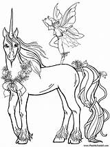 Coloring Pages Unicorn Unicorns sketch template