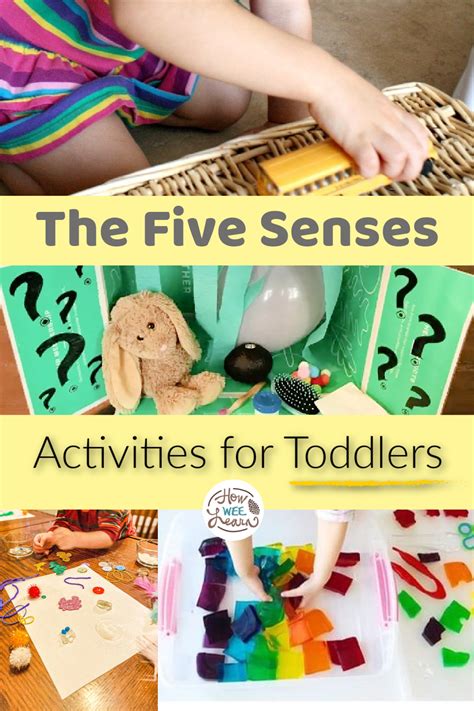 senses activities  toddlers laptrinhx news