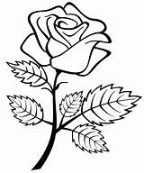 Rose Drawings Simple Cliparting sketch template