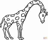 Girafas Links sketch template