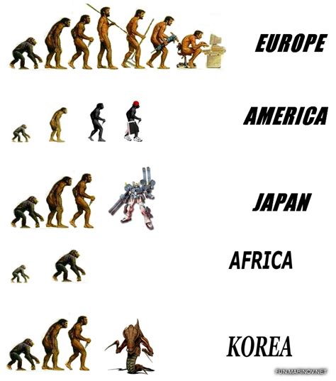 human evolution chart