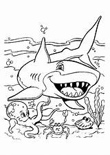 Kleurplaten Haaien Haai Animaatjes Kleurplaat Zwemt sketch template