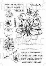 Flourishes Violets sketch template