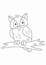 Night Owl Coloring sketch template